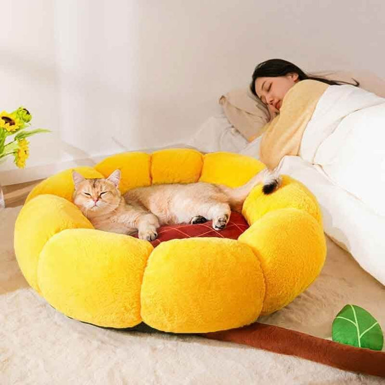 Pet Bed